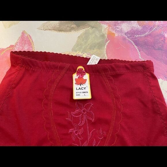 Lacy assorted embroidery design print panties - Picture 5 of 8